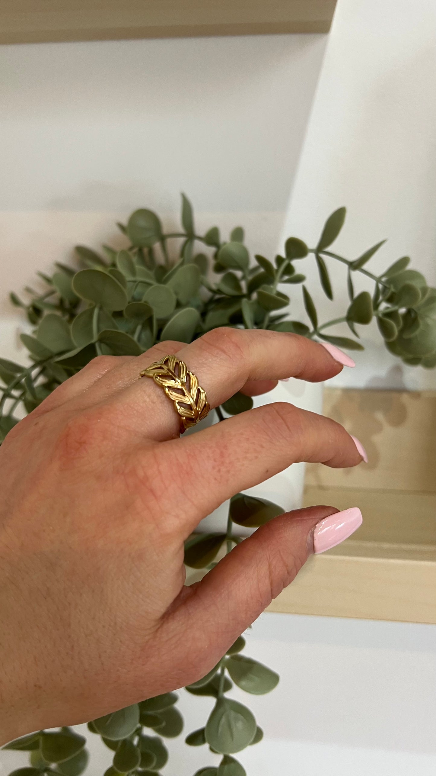 Anillo Camino