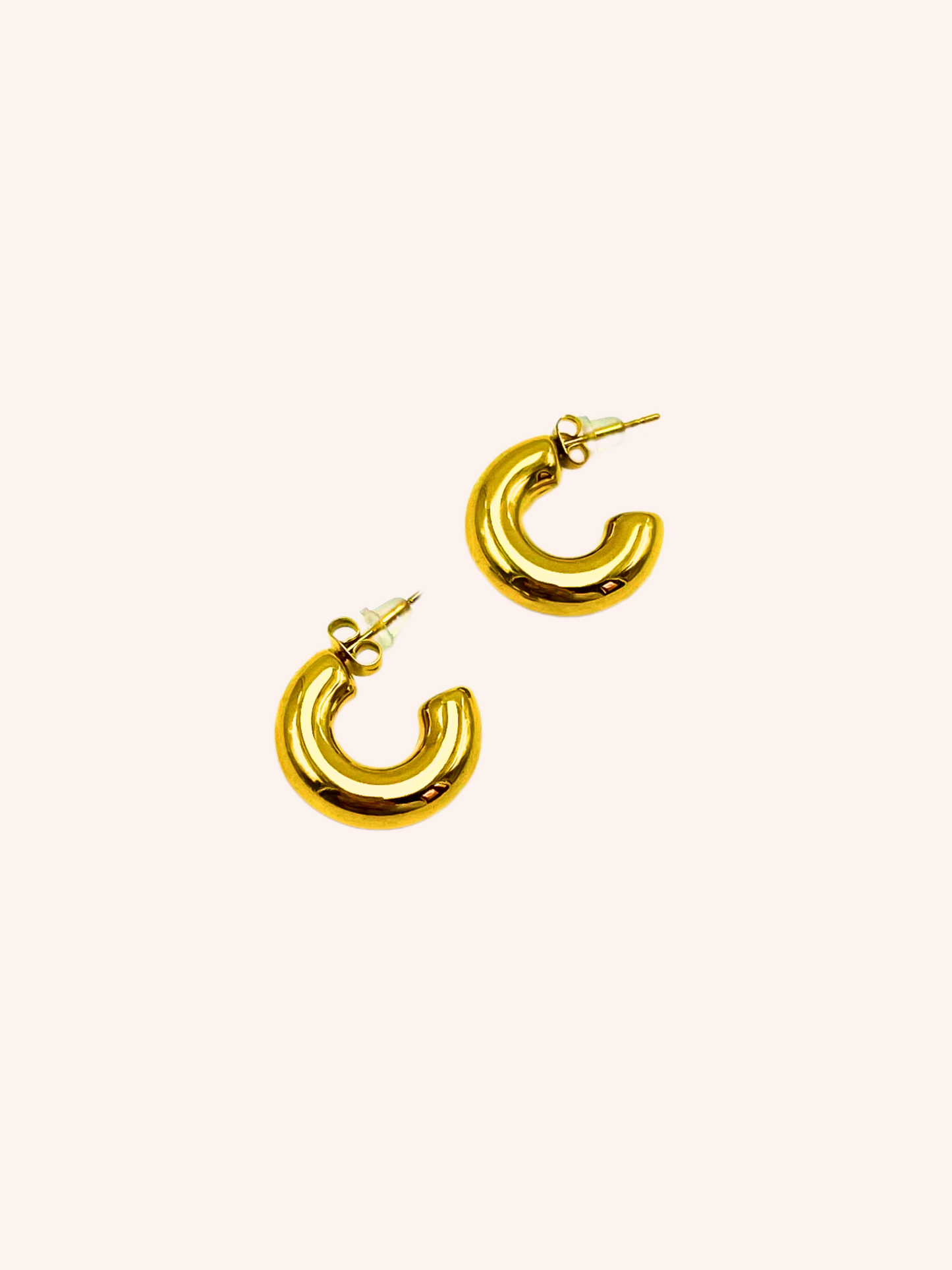 Alexandra Earrings Hoops