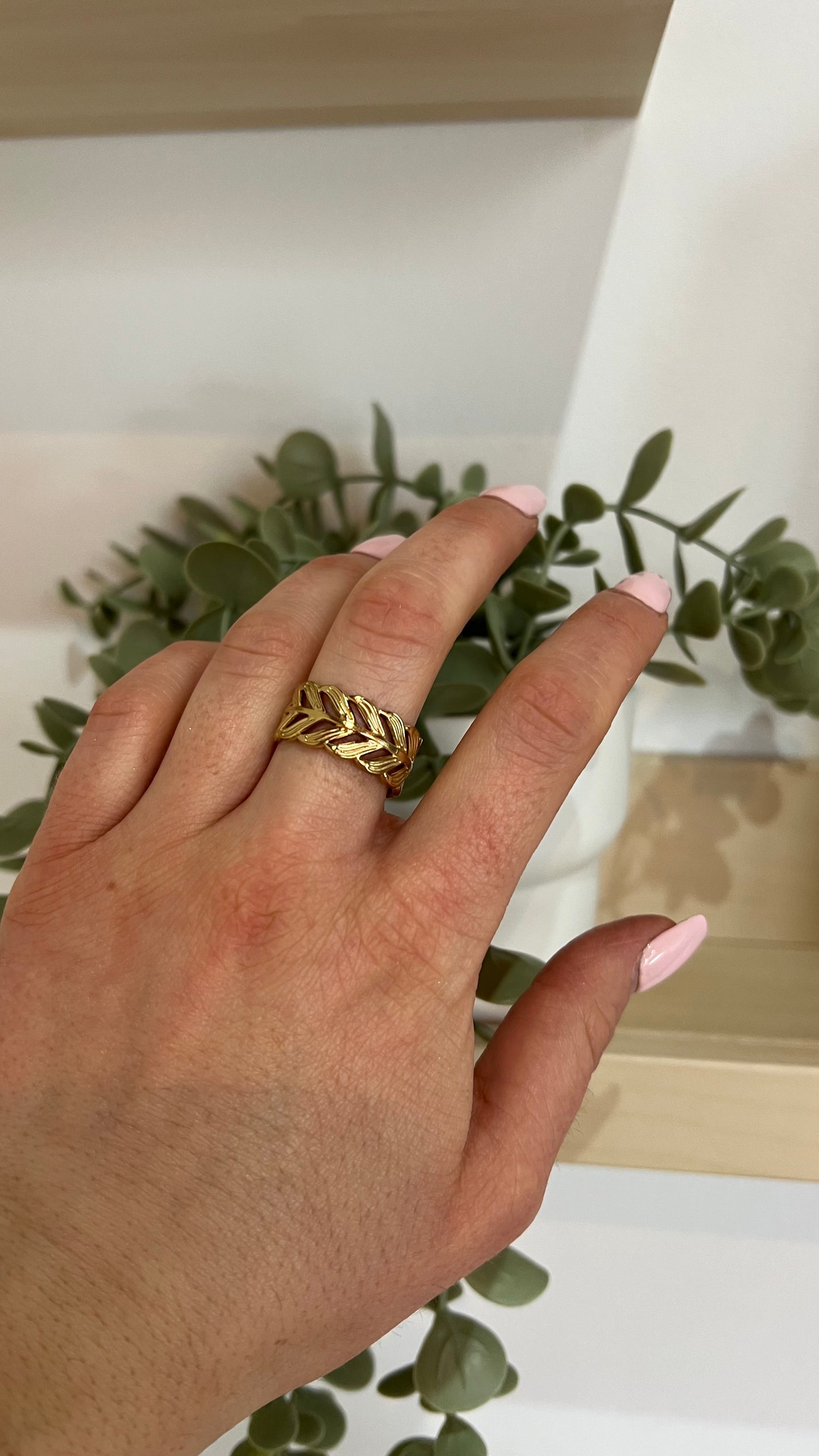 Anillo Camino