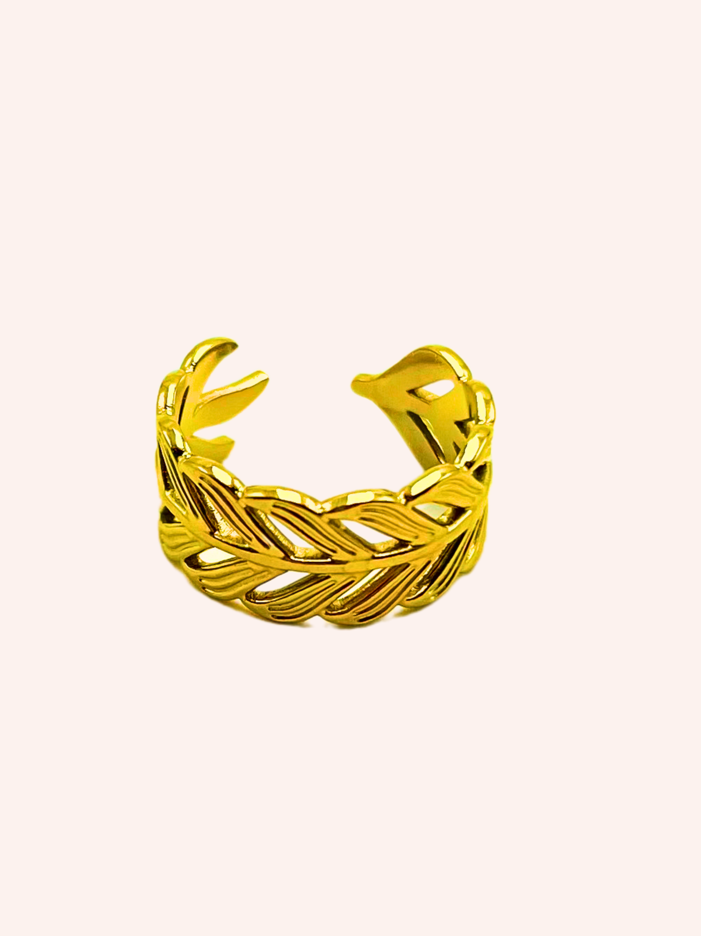 Anillo Camino